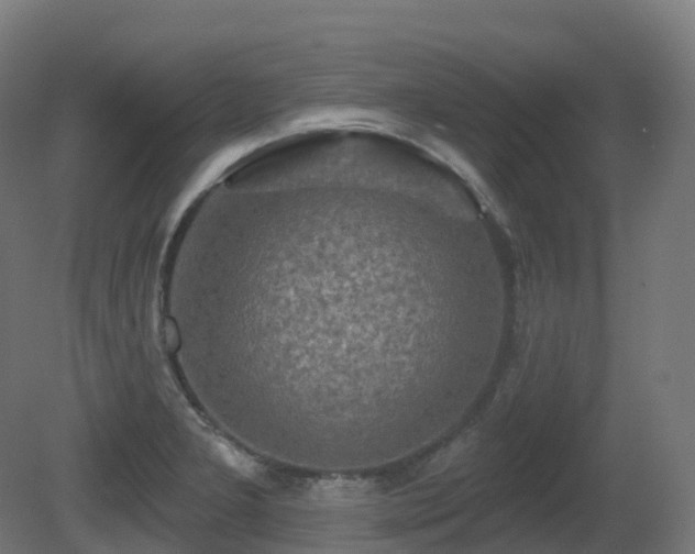 X0000081421277200701121226