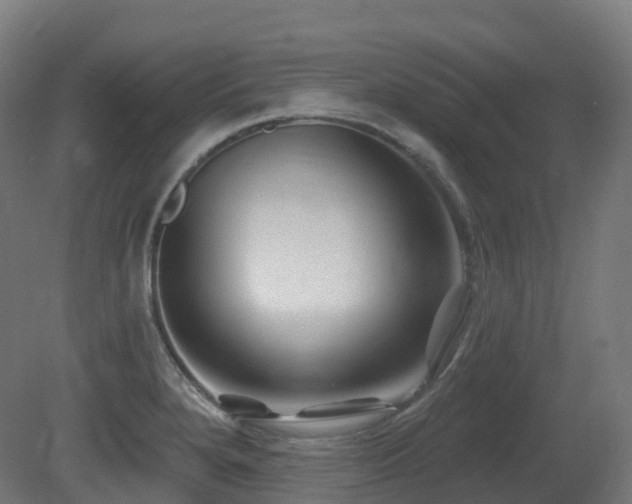 X0000081421280200701121226