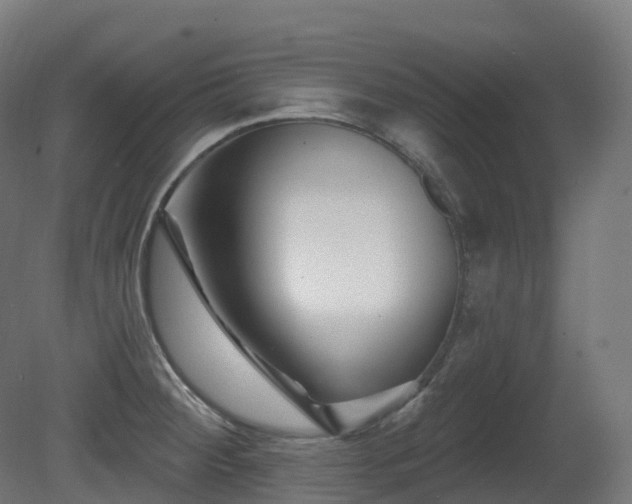 X0000081421284200701121226