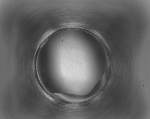 X0000081421285200701121226
