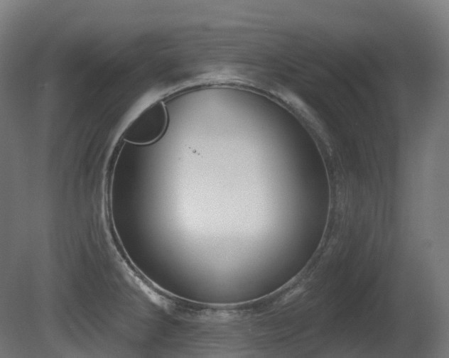 X0000081421286200701121225
