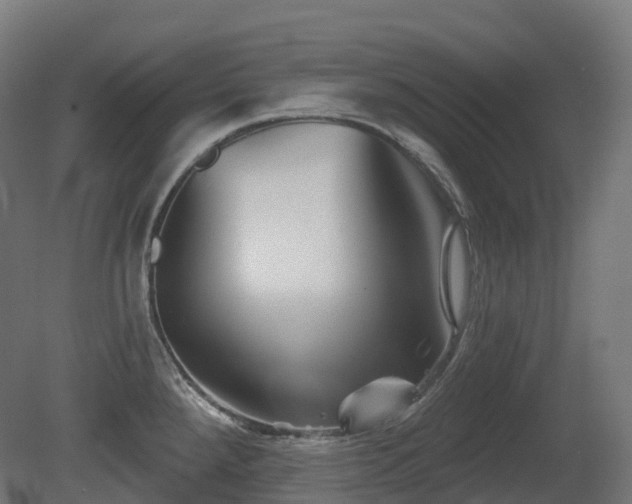 X0000081421288200701121225