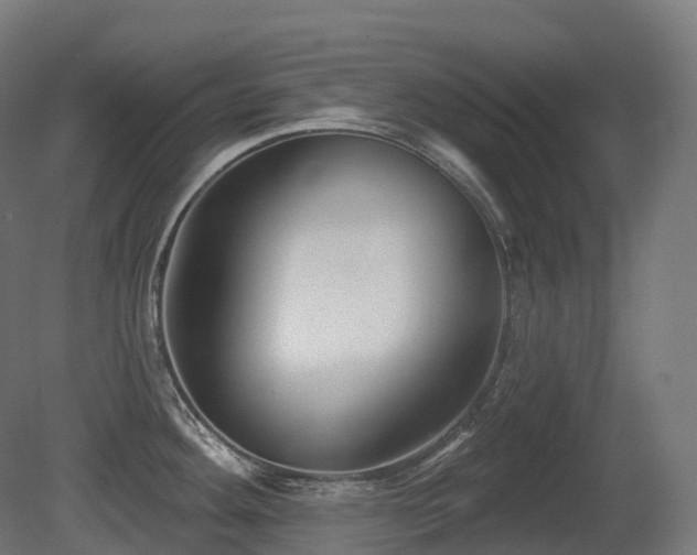 X0000081421292200701121225