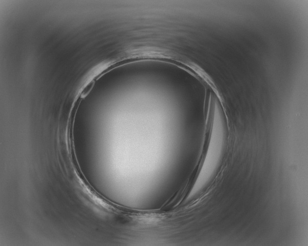 X0000081421293200701121225