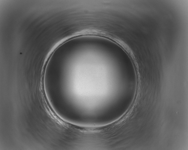 X0000081421296200701121225