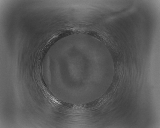 X0000081421297200701121225