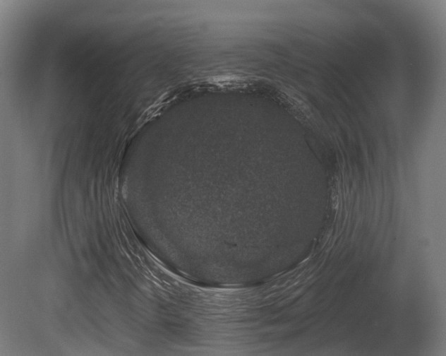 X0000081421298200701121225