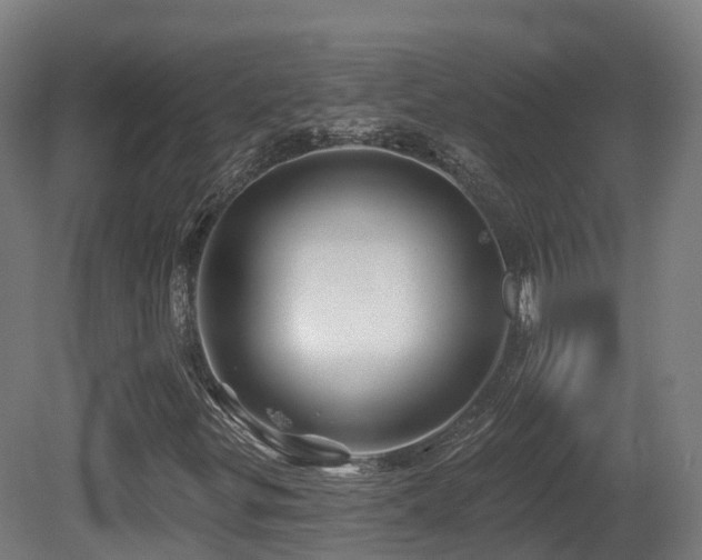 X0000081421299200701121225
