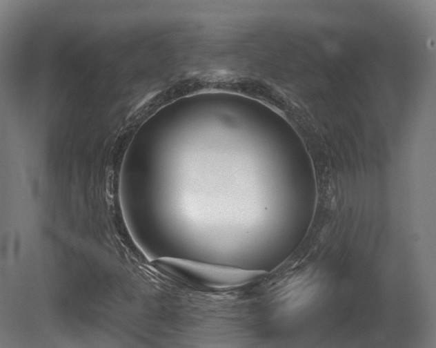 X0000081421301200701121225
