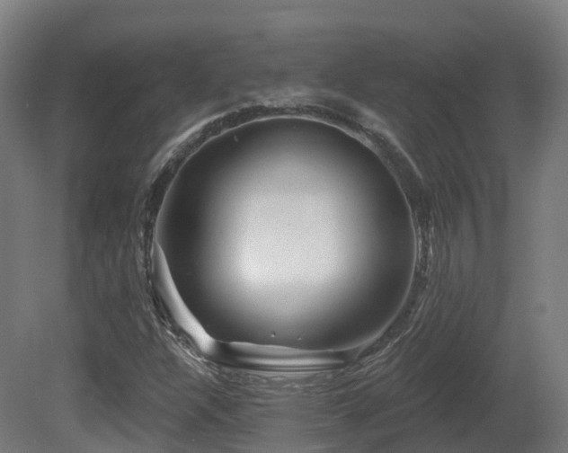 X0000081421304200701121225