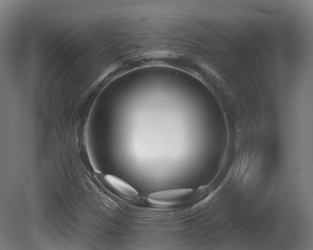 X0000081421305200701121225