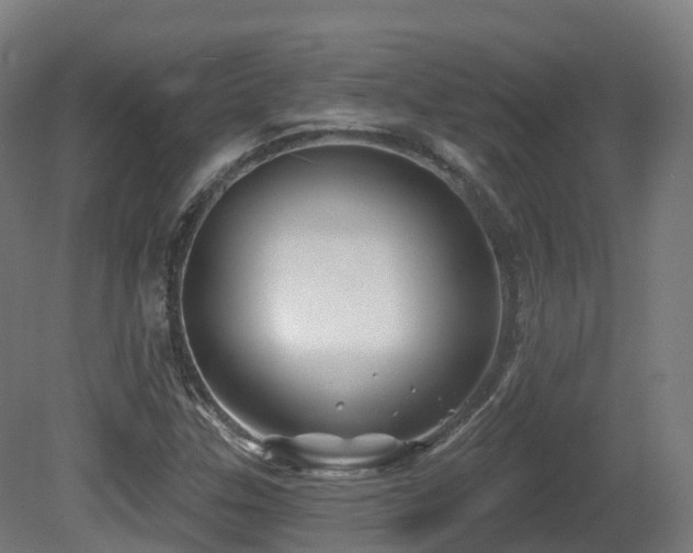 X0000081421307200701121225