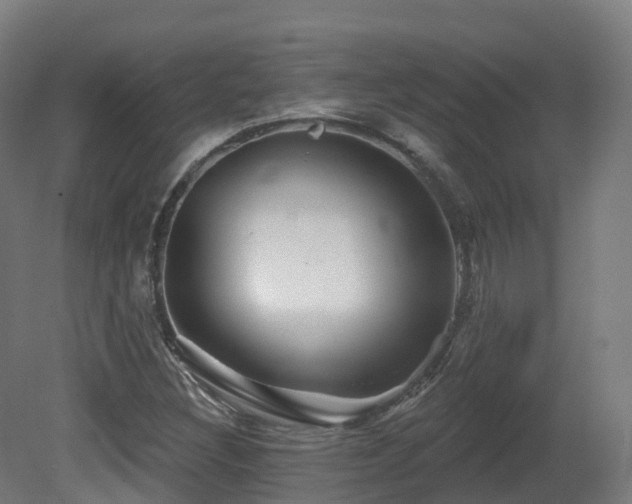 X0000081421308200701121225