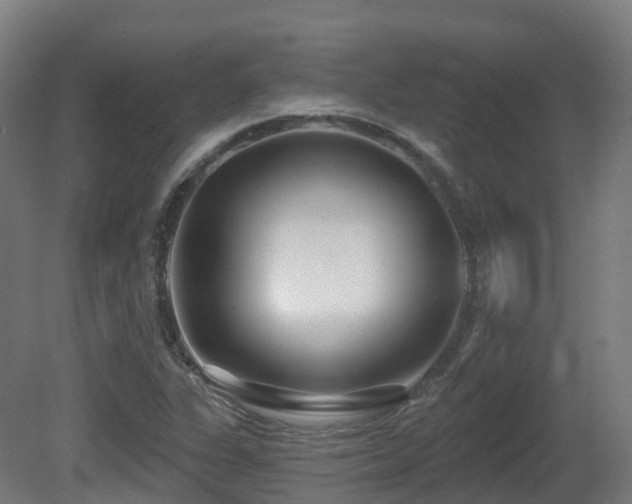 X0000081421311200701121225