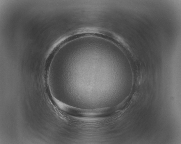 X0000081421312200701121225