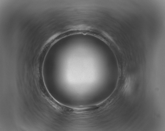 X0000081421315200701121225