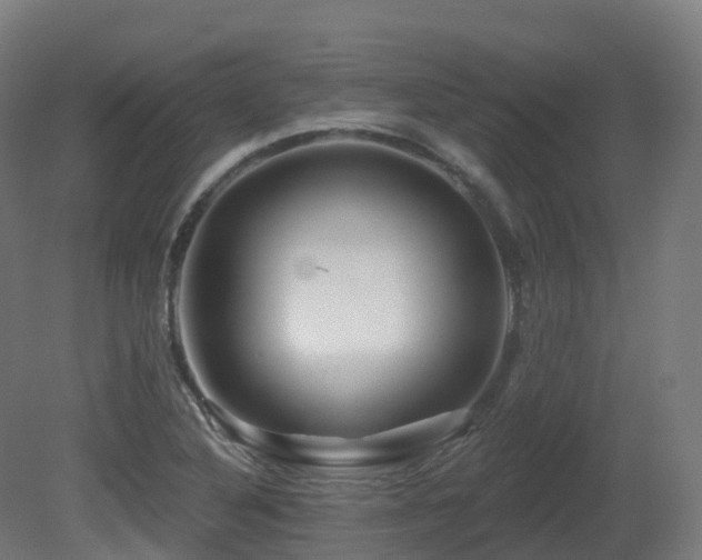X0000081421316200701121225