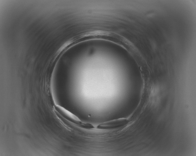 X0000081421321200701121225