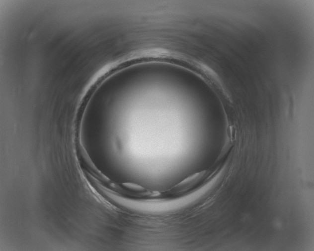 X0000081421326200701121225