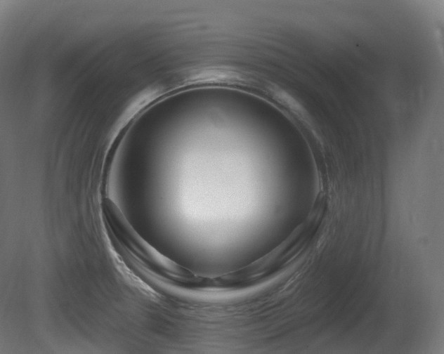 X0000081421330200701121225
