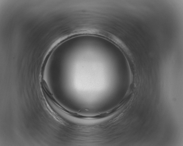 X0000081421332200701121225