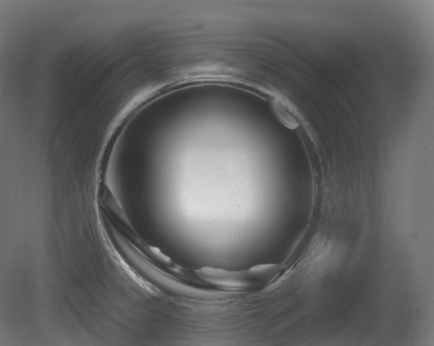 X0000081421333200701121225