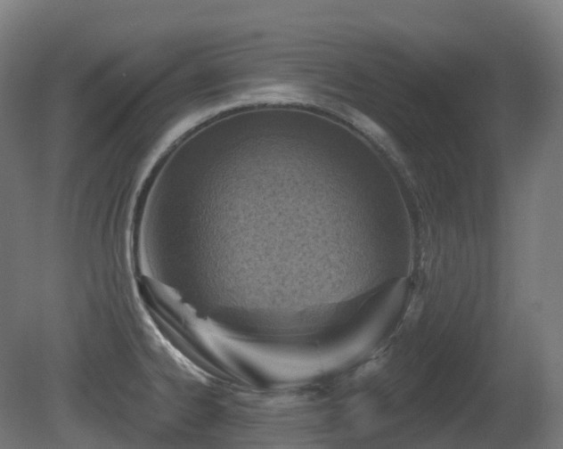 X0000081421334200701121225