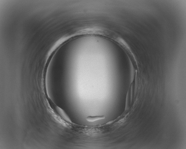 X0000081421336200701121225