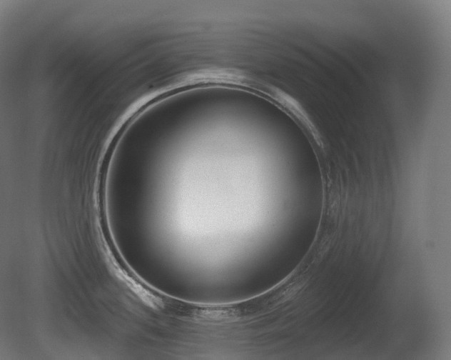 X0000081421339200701121225