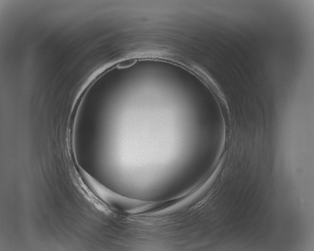 X0000081421340200701121225