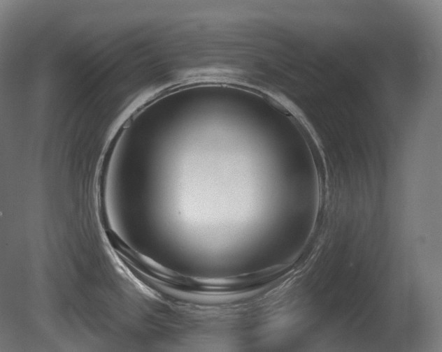 X0000081421341200701121225
