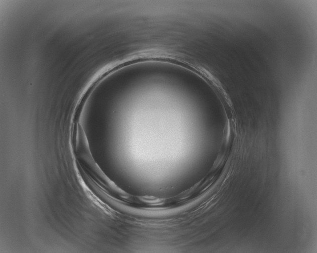 X0000081421342200701121225