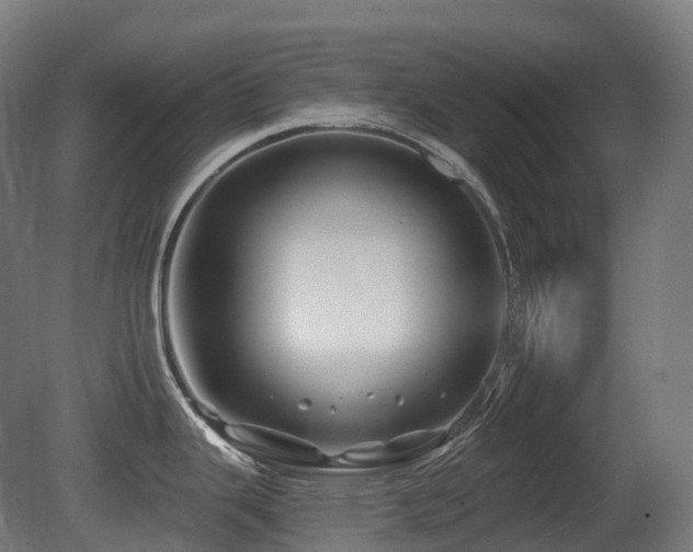 X0000081421343200701121225