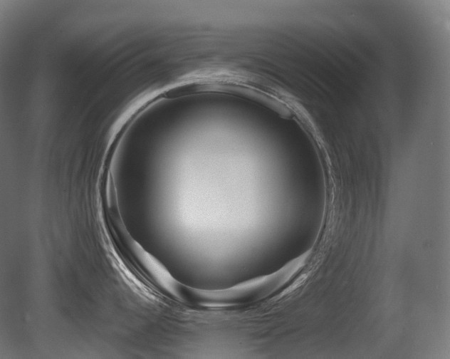 X0000081421344200701121225