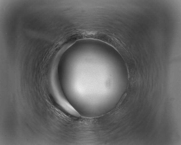 X0000081421345200701121224