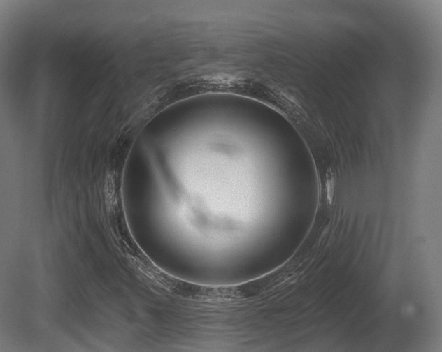 X0000081421347200701121224