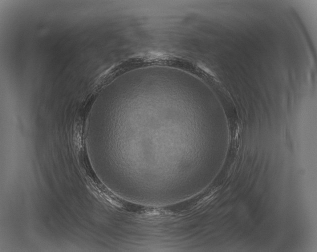 X0000081421348200701121224