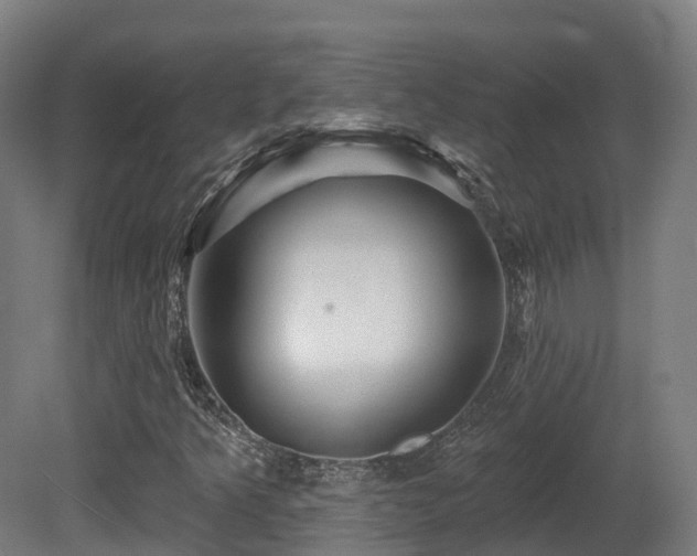 X0000081421349200701121224