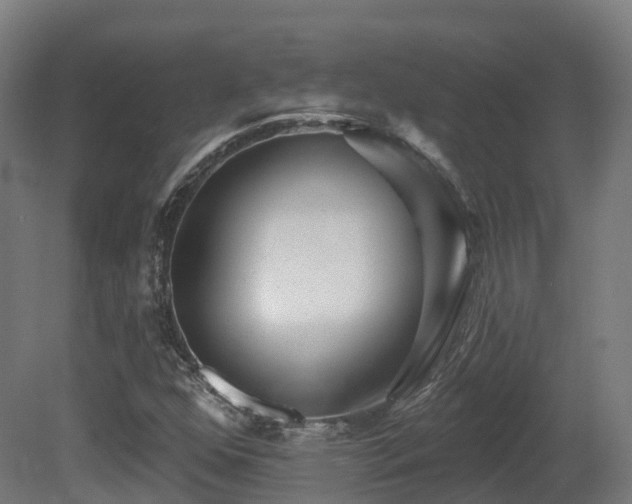 X0000081421352200701121224