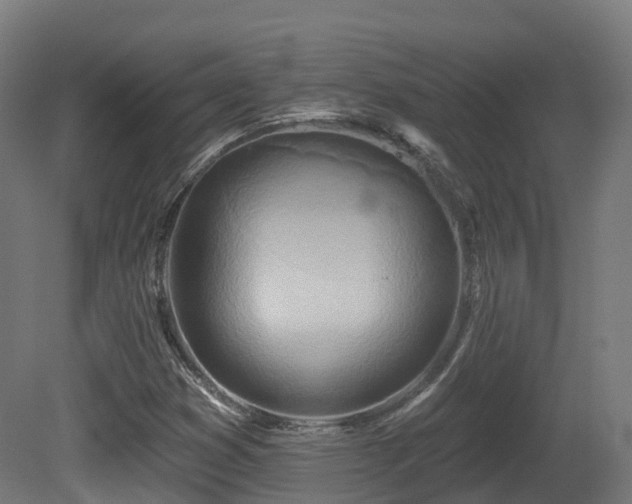 X0000081421353200701121224