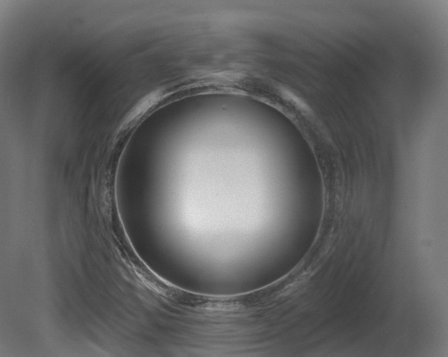 X0000081421354200701121224