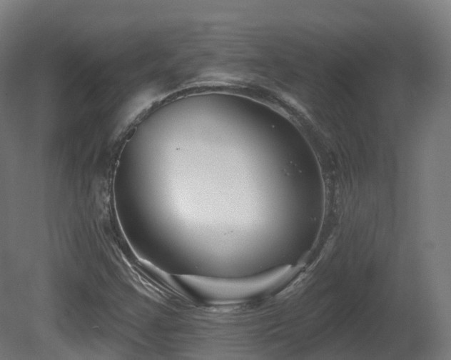 X0000081421355200701121224