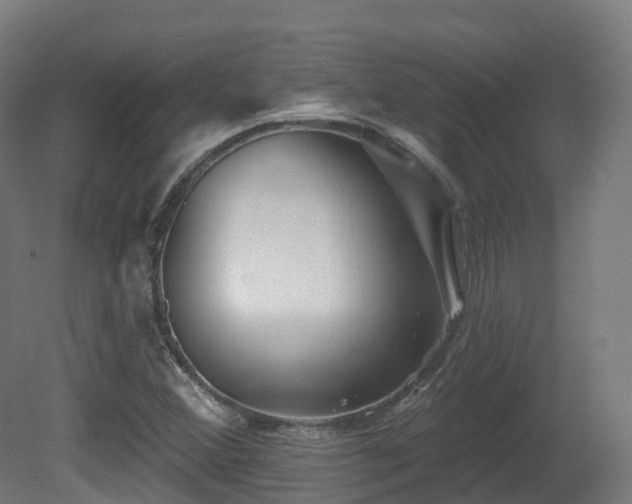 X0000081421356200701121224