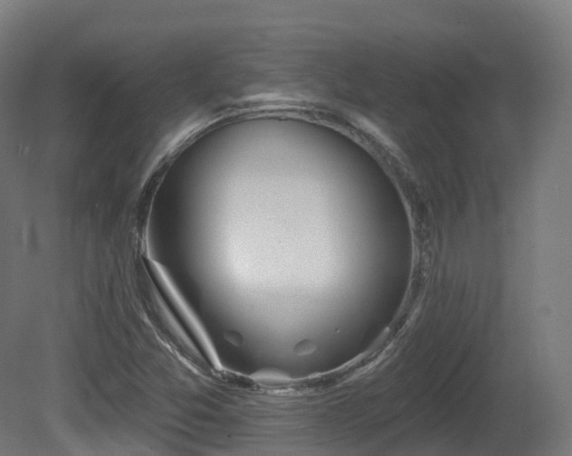 X0000081421357200701121224