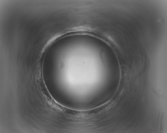 X0000081421358200701121224