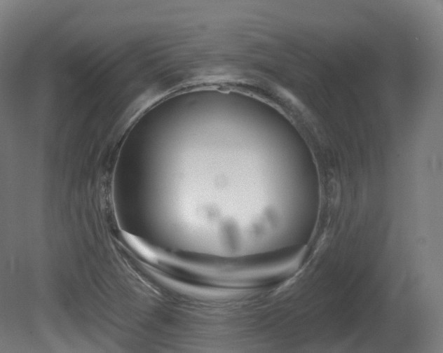 X0000081421361200701121224