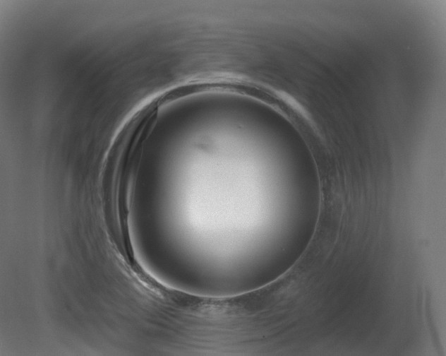 X0000081421364200701121224