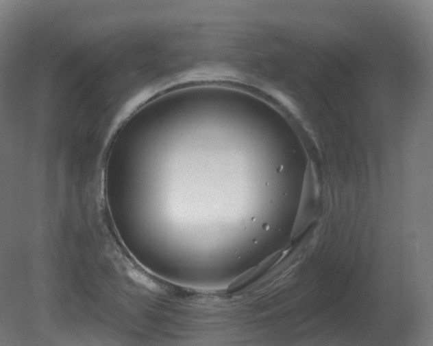 X0000081421366200701121224