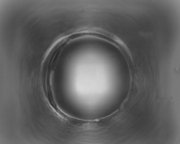 X0000081421368200701121224