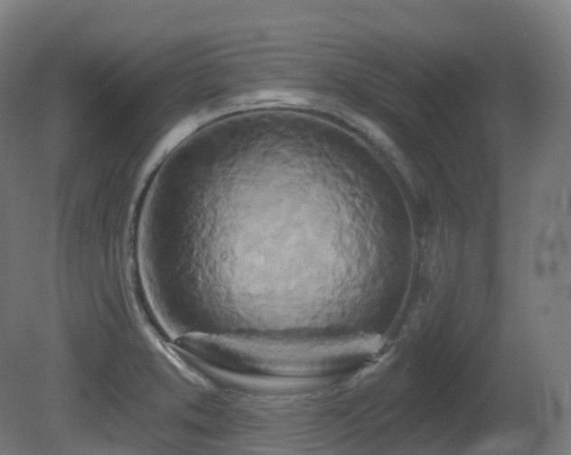 X0000081421373200701121224